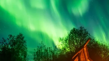 Northern Lights Experience from Rovaniemi with Barbecue