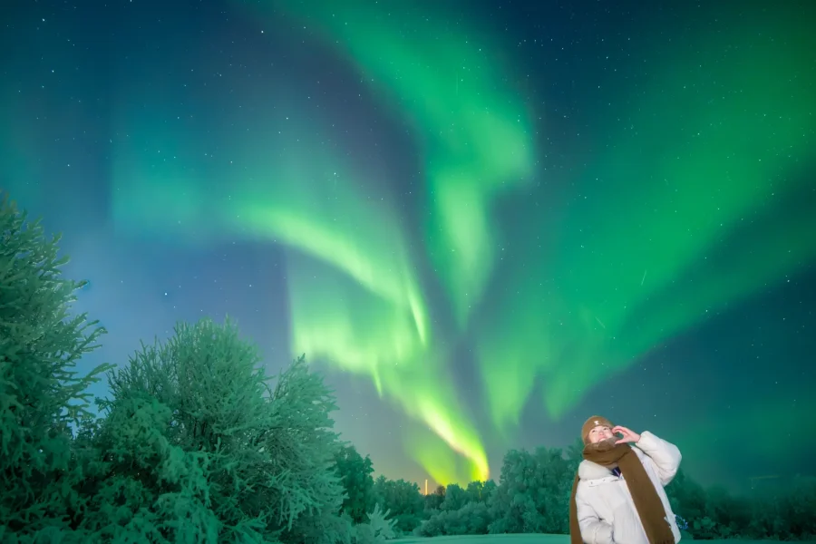 Vibrant green Northern Lights over a snowy forest in Rovaniemi, Finland at night