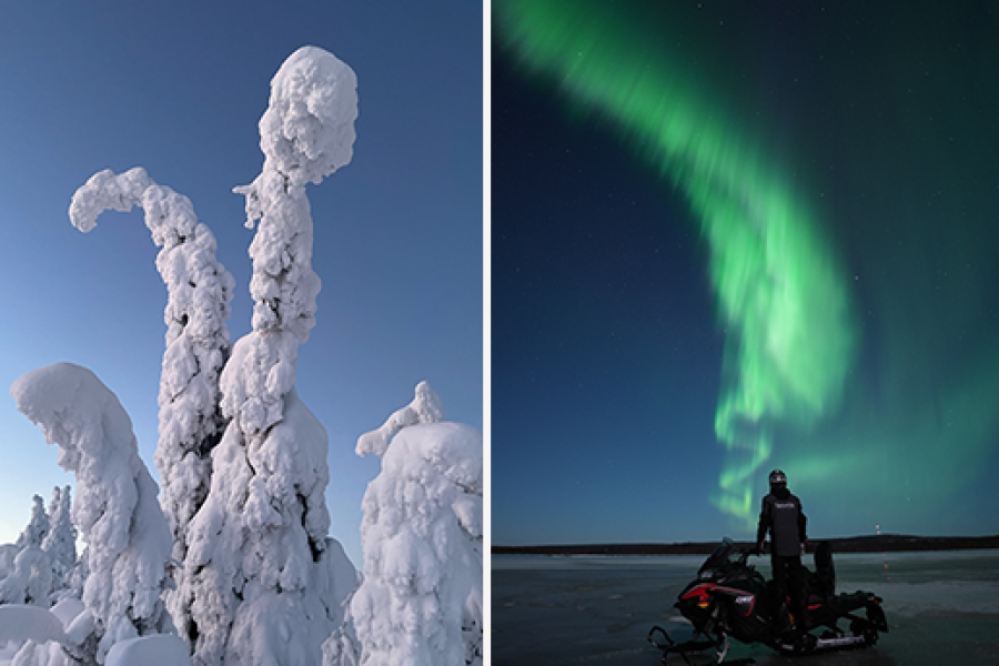 7 Days Lapland Ultimate Package: Snowmobiles • Safaris • Northern Lights & More