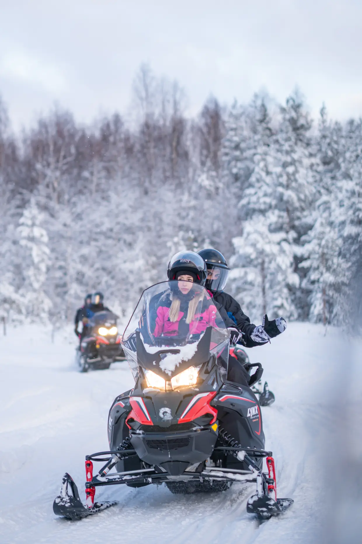 <span>Day 6 - 1h Snowmobile Safari</span>